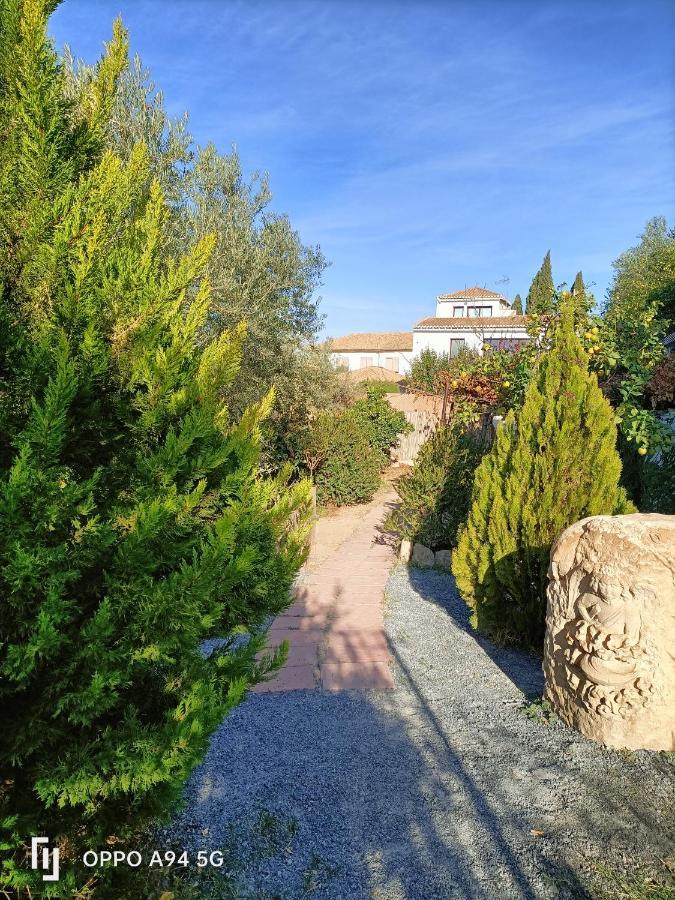 Morente sueña La Alhambra Granada Exterior foto